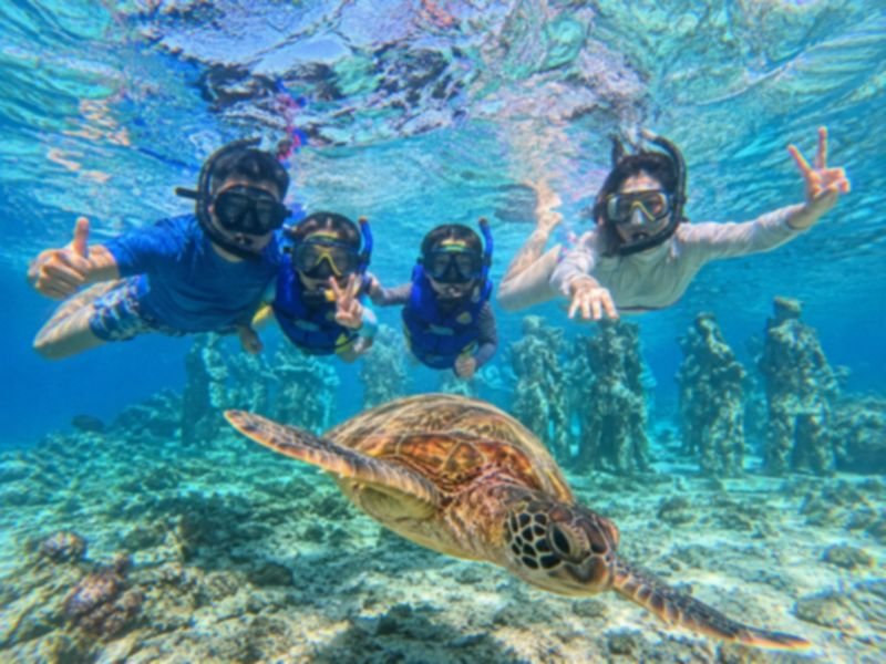 Turtle Point snorkeling gili