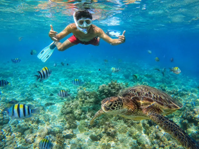 Kevin turle point Gili trawangan