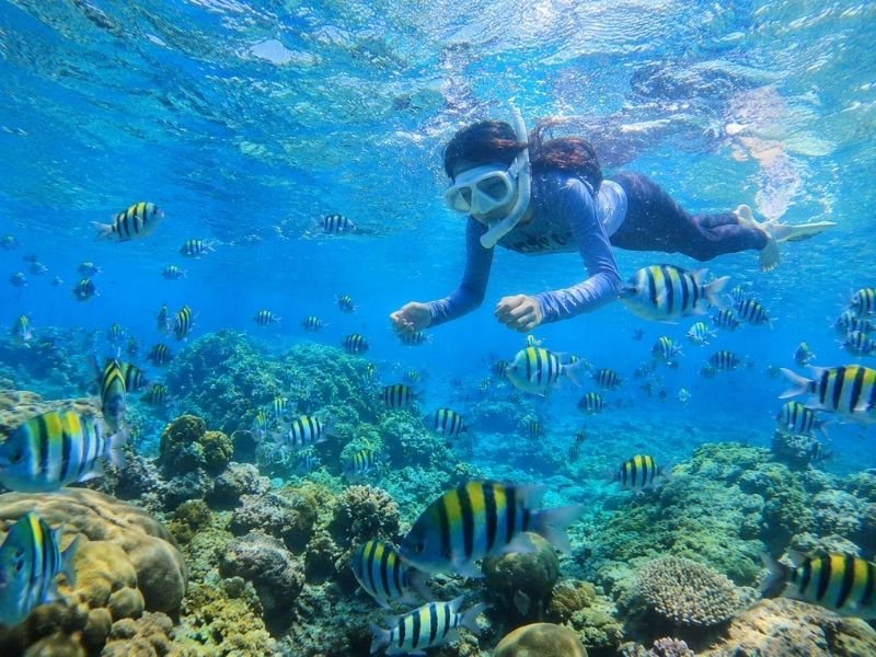 Snorkeling Gili Nanggu Lombok