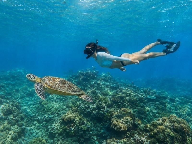 Snorkeling Gili Trawangan bersama kura-kura