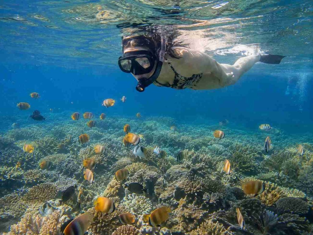 Snorkeling gili air