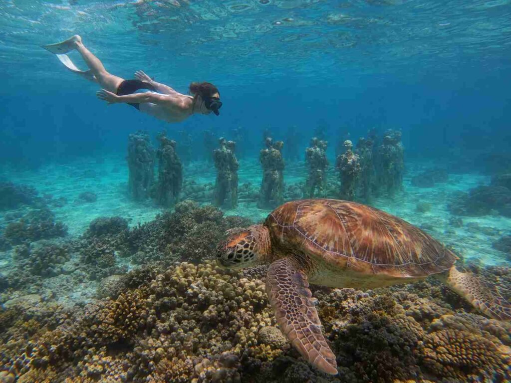 Snorkeling gili meno
