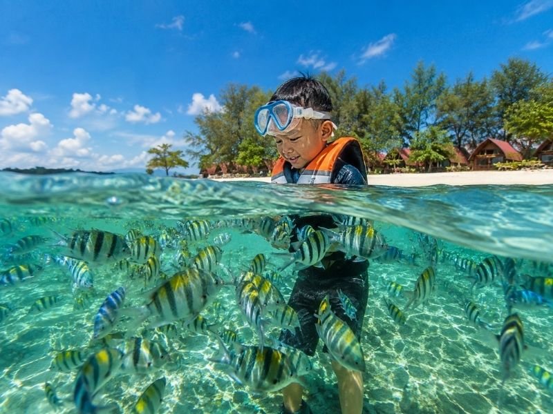 Wisata snorkeling gili nanggu